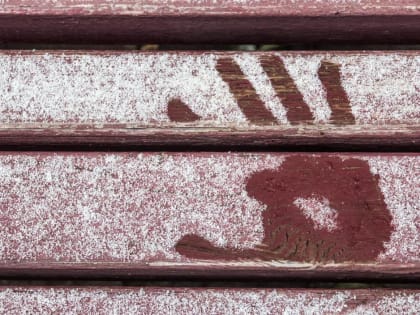 Ноябрь в Тюменской области выдался на 5 градусов теплее нормы