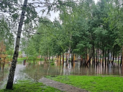 Прогноз погоды в Тюмени на 23 августа