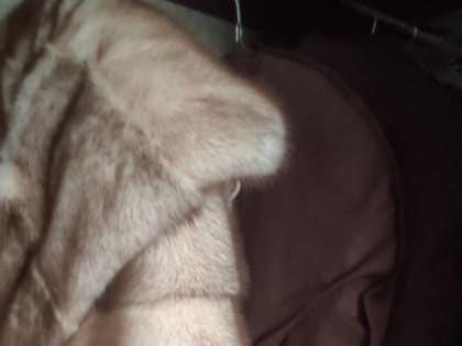 Тюменец украл у бабушки шубу и пропил ее