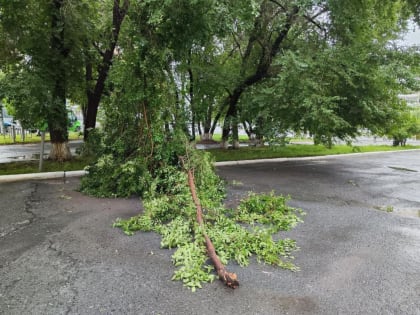 Скорость ветра в августе в селе Тюменской области превысила 24 м/с