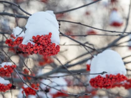 Соблюдайте правила работы на открытом воздухе в холодное время года