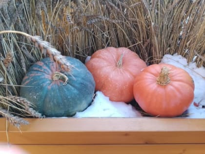 Хэллоуин и Тыквенный спас: особенности праздников