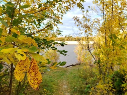 В Тюменской области в выходные станет прохладнее и пройдут дожди