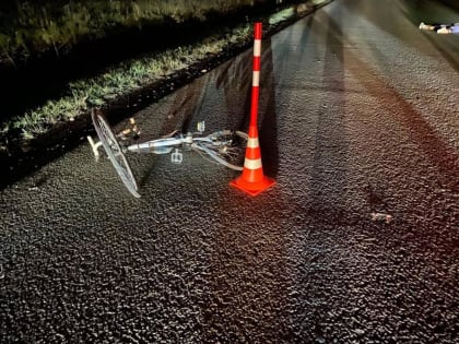 На выезде из Тюмени водитель Audi насмерть сбил велосипедиста