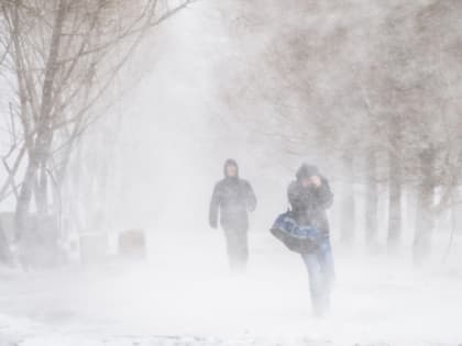 В выходные на Тюмень обрушится сильная метель и резкое похолодание