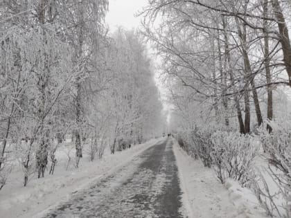 Жителей Тюменской области предупреждают о снеге и сильном ветре 3 января
