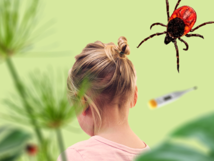 В Тюменской области от укусов клещей пострадали 905 детей
