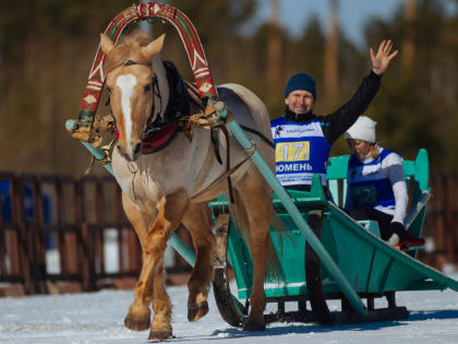 Зимние сельские спортивные играы