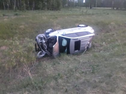 Два человека погибли на ночной трассе в Тюменской области из-за косули