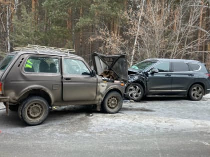 В ДТП под Тюменью погиб пожилой водитель «Нивы»