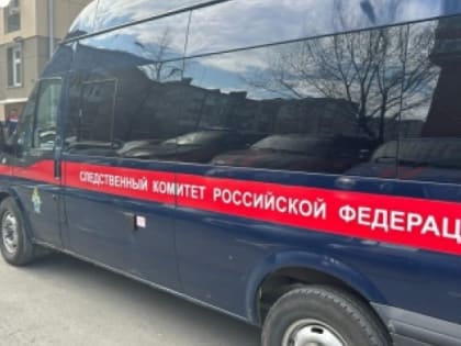 Житель тюменского села в ходе распития спиртного зарезал отца