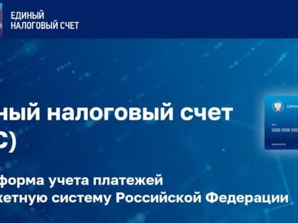 Налоговая сообщает бизнесу