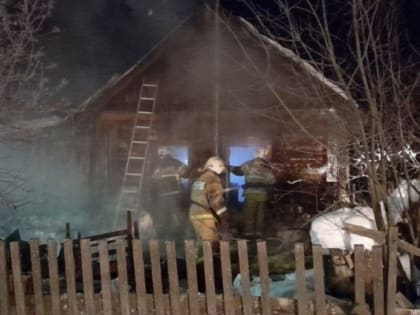 В тюменском селе на пожаре заживо сгорел человек