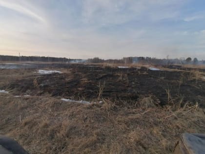В Тюменской области загорелась сухая трава из-за перехлеста линий электропередач