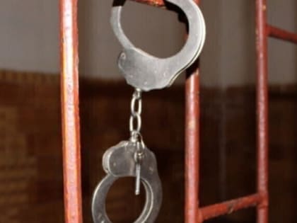 Гражданин Белоруссии, жестоко избивший тюменку, в суде рассказал свою версию