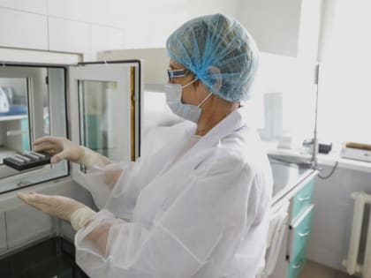 В Тюменской области зарегистрировано 55 случаев заболевания клещевым энцефалитом, 70 – клещевым боррелиозом