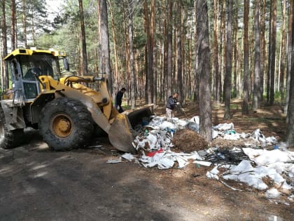 26 новых свалок мусора появилось в Тюменской области. Регоператор «победил» девять