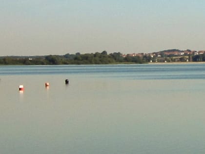 Качество и безопасность воды в зонах рекреации находятся на контроле Управления Роспотребнадзора по Тюменской области