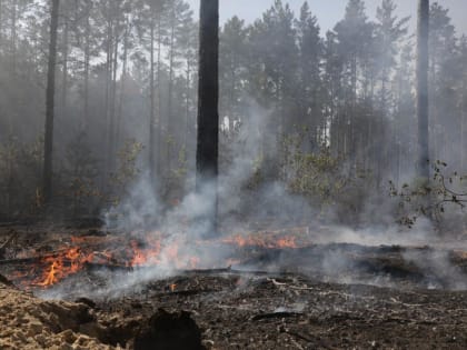Жителей Тобольского района оштрафовали за сжигание сухой травы на 115 тысяч рублей
