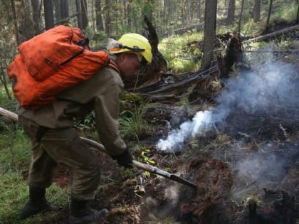 В Тюменской области ликвидировано более ста лесных пожаров