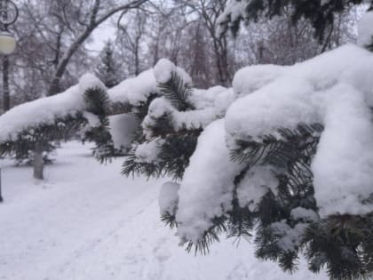 14 февраля в Тюмени будет пасмурно