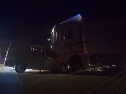 Отец и сын погибли в лобовом ДТП на трассе Тюмень-Омск