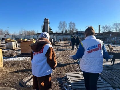 Молодогвардейцы помогли в восстановлении Тобольского центра помощи бездомным животным «Право на жизнь»
