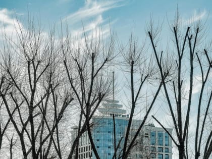 В Тюменской области резко похолодает из-за арктического вторжения