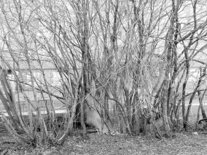 Успокоиться и набрать 101