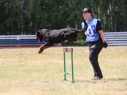 Собаководы Тюменской области показали мастерство дрессировки на региональном чемпионате