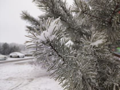 В Тюмени из-за морозов отменили занятия для учеников 1-4 классов первой смены