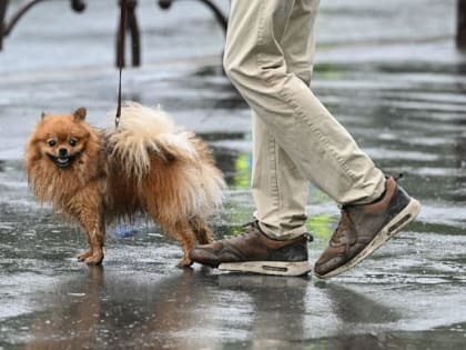 Чем есть риск заболеть из-за промокших ног, рассказал тюменский врач