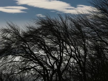 В среду в Тюмени потеплеет до +11 градусов