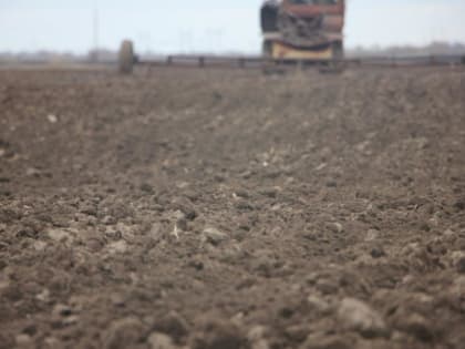 Боронование полей под овощи проводят в Тюменском районе