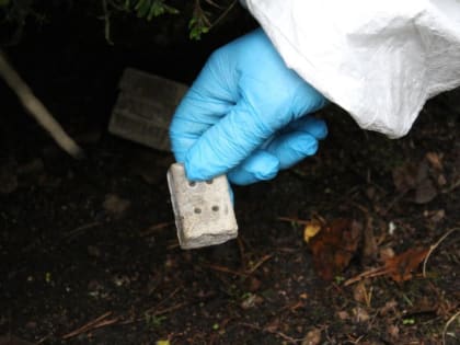 Профилактика бешенства диких животных