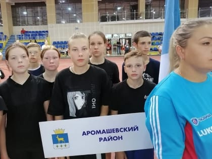 Аромашевские школьники приняли участие в областном фестивале ВФСК ГТО