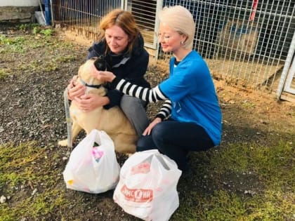 Тюменские активистки помогли приюту для бездомных животных «Лучший друг»