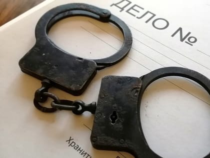 Раскрыта кража