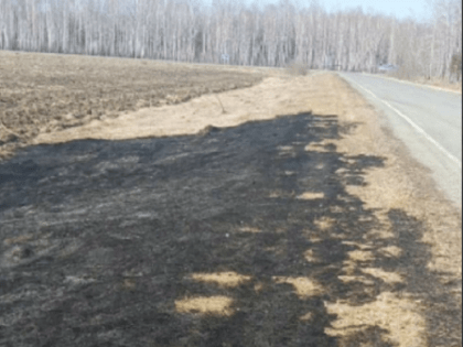 Поджигателю травы в Сорокинском лесничестве грозит штраф до 20 тыс. рублей