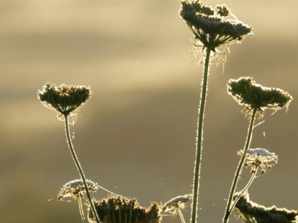 В пятницу в Тюмени резко похолодает