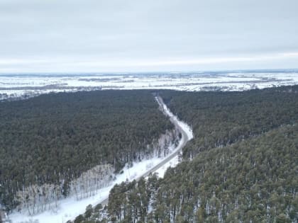 Особый противопожарный режим вводят в регионе с 3 апреля
