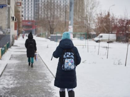 В Тюмени очные занятия начальных классов отменили из-за мороза 11 января