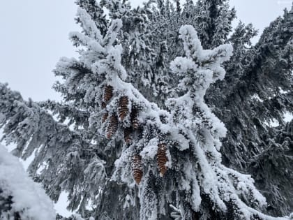 Неблагоприятную погоду обещают тюменцам 3 января