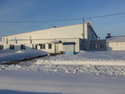 Новые горизонты птицефабрики