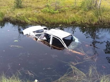 В Югре автомобиль вылетел в кювет с водой