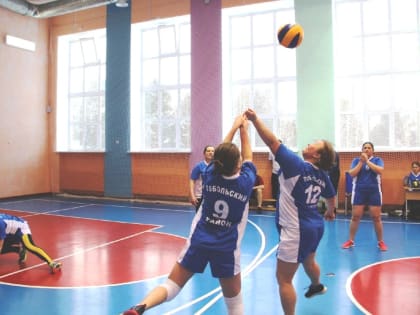 В Тобольском районе определят лучшую женскую волейбольную команду