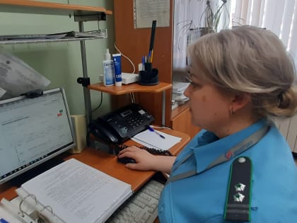 Управлением Россельхознадзора при помощи ФГИС «Аргус-Фито» выявлены нарушения требований законодательства при ввозе импортной подкарантинной продукции