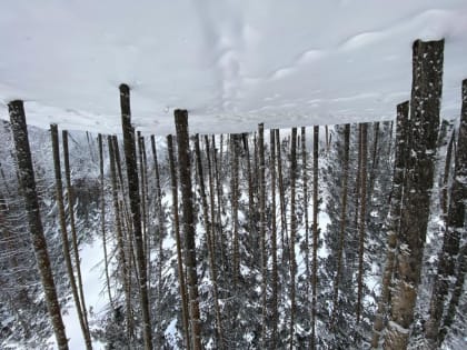 В Тюмени  10 января ожидается пасмурный и холодный день