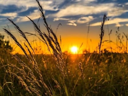 В Тюмени ожидается жаркая душная неделя