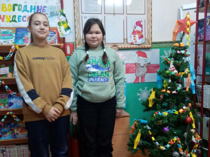 Новогодние чудеса